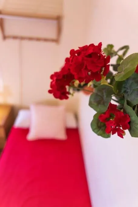 3 Bedrooms City Center And Beach Malaga
